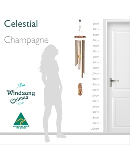 Celestial - Champagne (Factory Second)